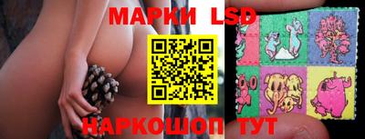 мяу мяу мука Ковров