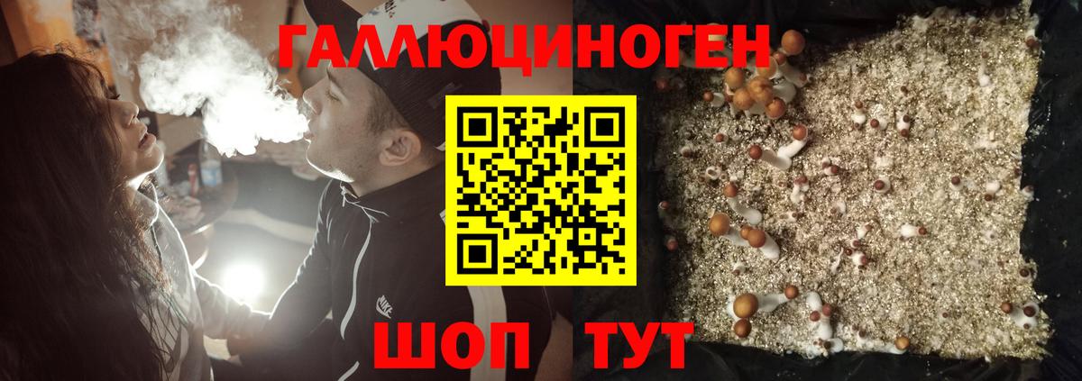 Псилоцибиновые грибы ЛСД  Вход с VPN  Псилоцибиновые грибы Psilocybe  Карабулак 